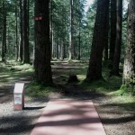 disc golf