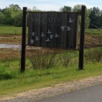 Nisqually5
