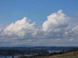 chambers bay