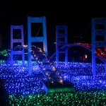zoolights