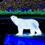 zoolights featured