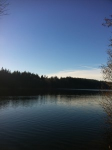 Floating Lantern Pet Memorial @ Lake Padden | Bellingham | Washington | United States