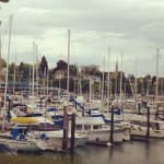 squalicum-harbor-bellingham-washington