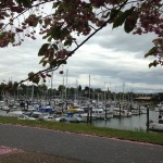 squalicum-harbor-bellingham-washington2