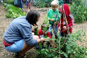 Spring Gardening Day @ Deming Library | Everson | Washington | United States