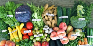 bellingham csa