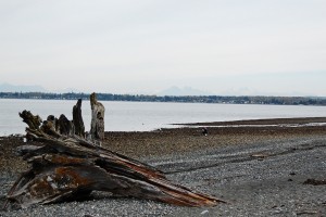 birch-bay-state-park1