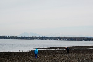 birch-bay-state-park2