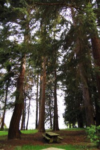 washington state parks