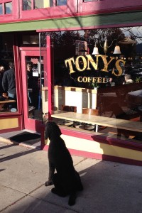 bellingham coffee