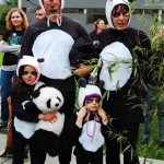 bellingham procession