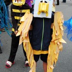 bellingham procession