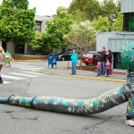 bellingham procession