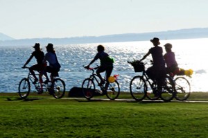 whatcom smart trip
