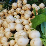 bellingham farmers market