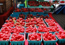 bellingham farmers market