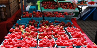bellingham farmers market