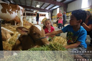 The five core values that drive the Northwest Washington Fair are agriculture, youth, education, community, and entertainment.