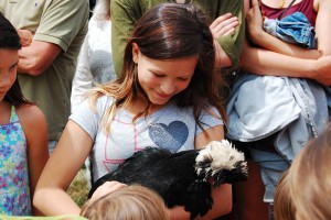 June’s Words of a Feather: the Sue C. Boynton Poetry Contest @ Allied Arts Gallery