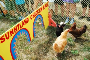 sunnyland stomp