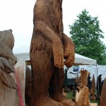 nw washington fair