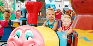 nw washington fair