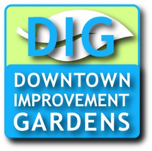 Downtown Steward Safari @ Sustainable Connections | Bellingham | Washington | United States