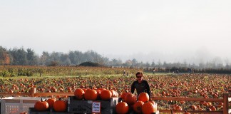 Harvest Happens