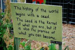 common threads farm
