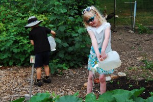 common threads farm