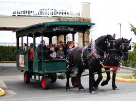 holiday carriage ride