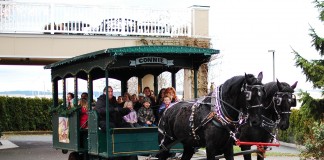 holiday carriage ride