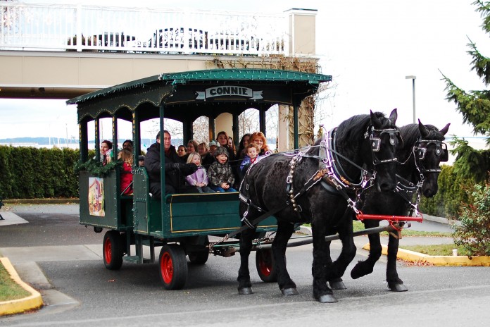 holiday carriage ride