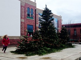 fairhaven tree lighting
