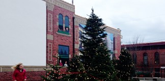 fairhaven tree lighting
