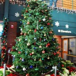 holiday-port-festival1