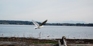 birch bay state park