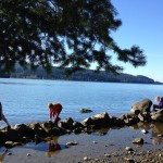 scenic north-lake-whatcom-hertz-trail3