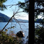 scenic north-lake-whatcom-hertz-trail4