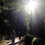 north-lake-whatcom-hertz-trail5