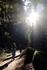 north-lake-whatcom-hertz-trail5