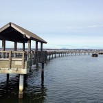 south-bay-trail-boardwalk1