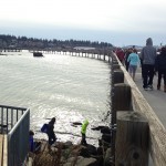 south-bay-trail-boardwalk2