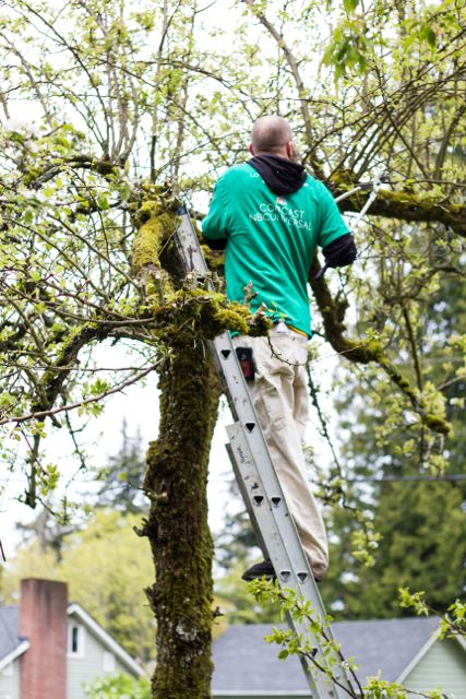 comcast cares day