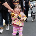 torch run