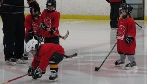 youth hockey