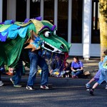 jr ski to sea parade