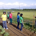 WCC-Service-Learning