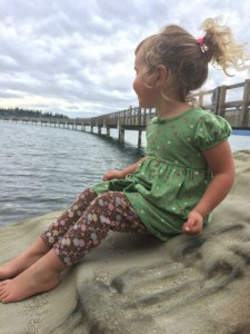 bellingham beaches