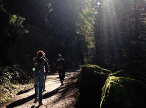 hiking whatcom county